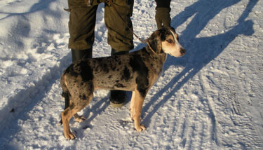25.12.2008-diverse-015.jpg