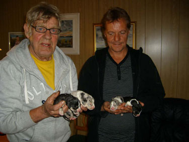 Julka-valper-2