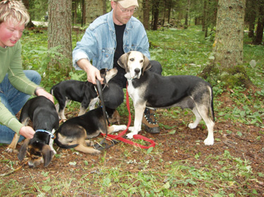 Ronja-m-valper.jpg