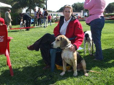 11102008dog-show-king-002.jpg