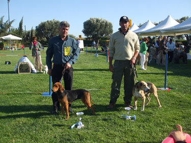 11102008dog-show-king-021.jpg