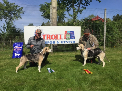 BIM og BIR Trøndelag 26 mai