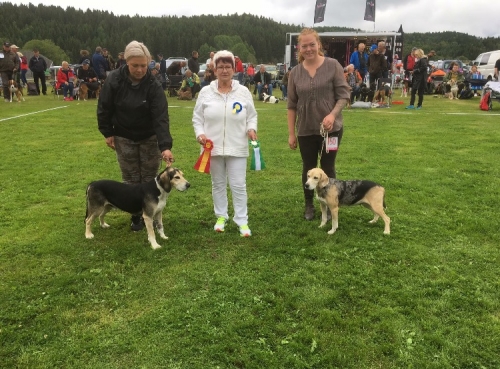 Bir og Bim Båstadutstillingen 2017