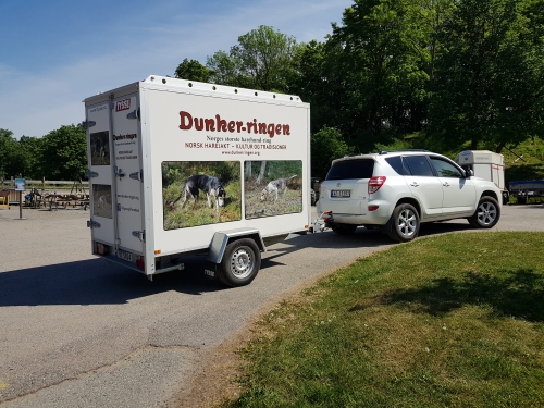 Dunker ringen henger