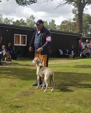 Grimsbu Nordshaugs Klang til Lars Hagemo