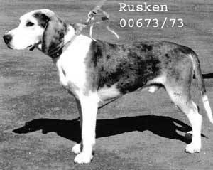 rusken