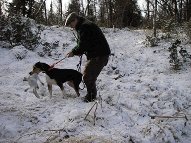 fjellet-08-037.gif