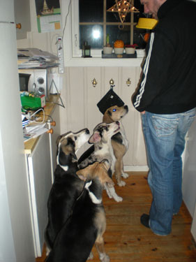januar09-011.jpg
