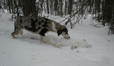 januar09-055.jpg